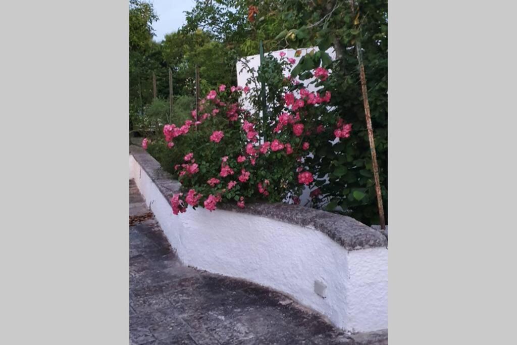 Trulli Relax A Martina Francaヴィラ エクステリア 写真