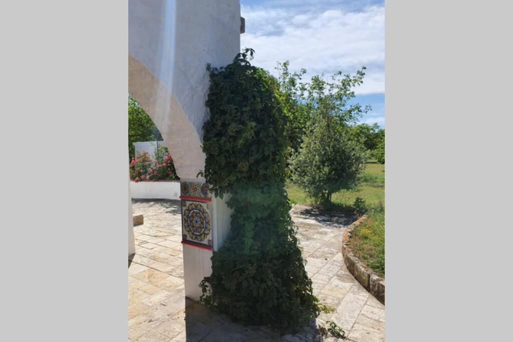 Trulli Relax A Martina Francaヴィラ エクステリア 写真